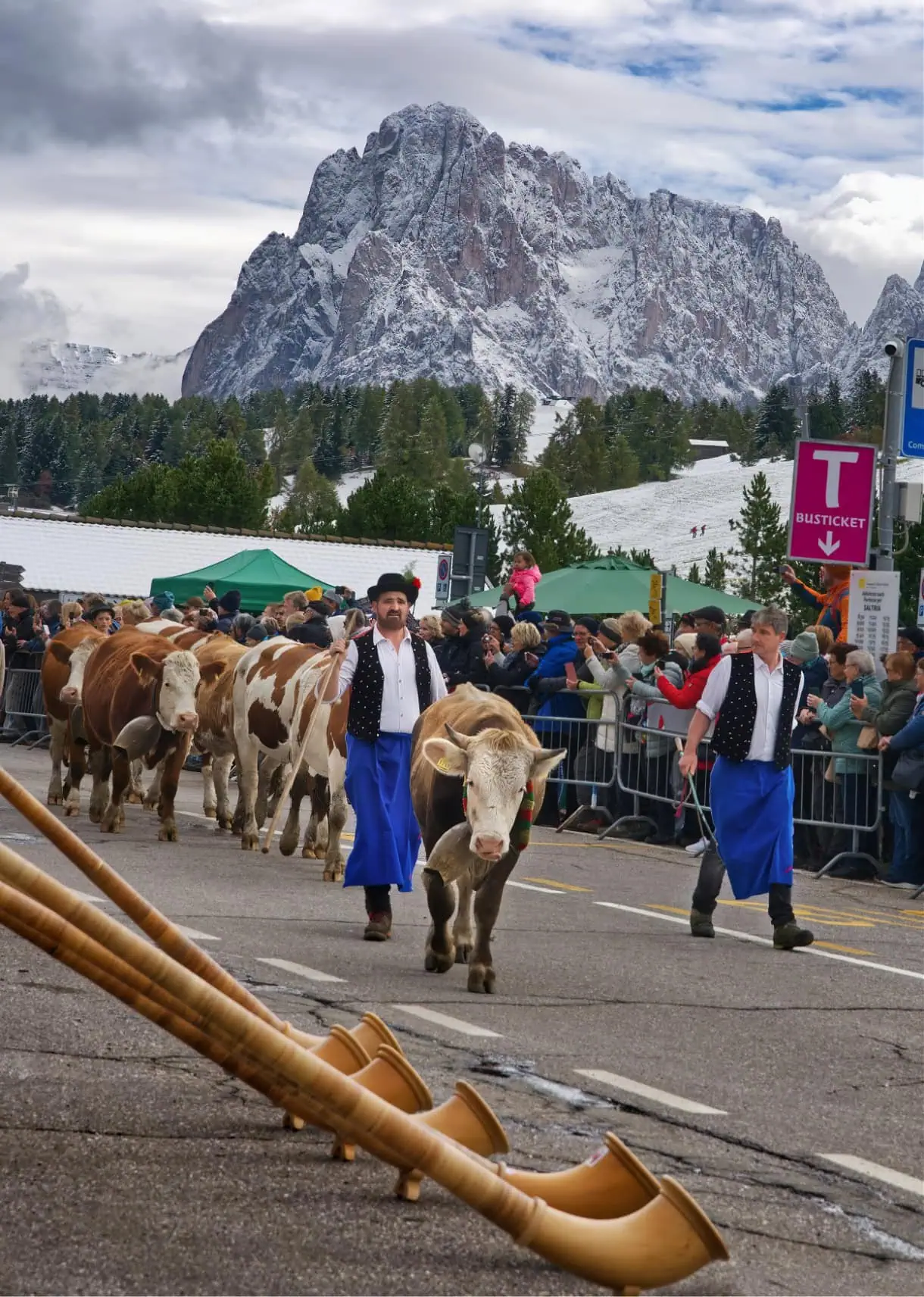 almabtrieb alpe di siusi sassolungo