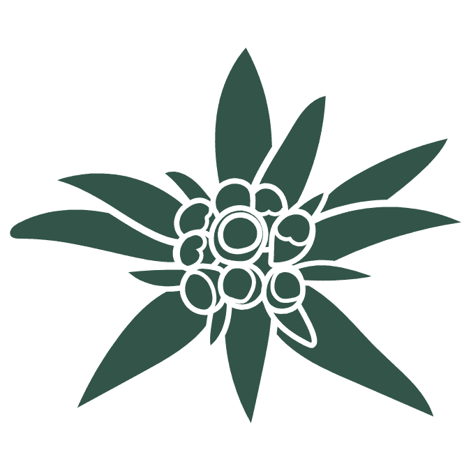 alpine flower icon