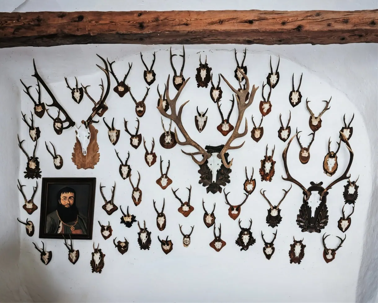 Fashioned by Mountains: Meet South Tyrol's Wildly Elegant Past at Amalia Pernter 1896 7 amalia pernter antler mounts