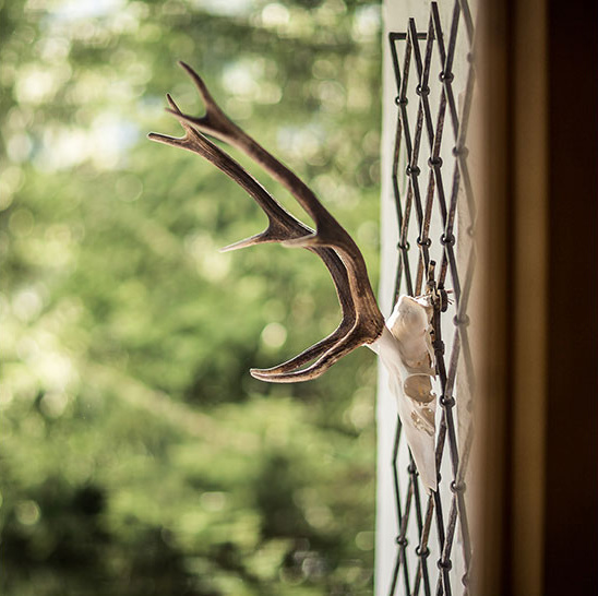 Antler mount on the outside of Chalet am Reschensee