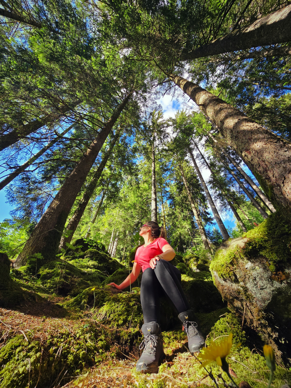 Discover Bad Ratzes: A Forested Escape Beneath South Tyrol's Most Legendary Peak 29 bad ratzes firest kate