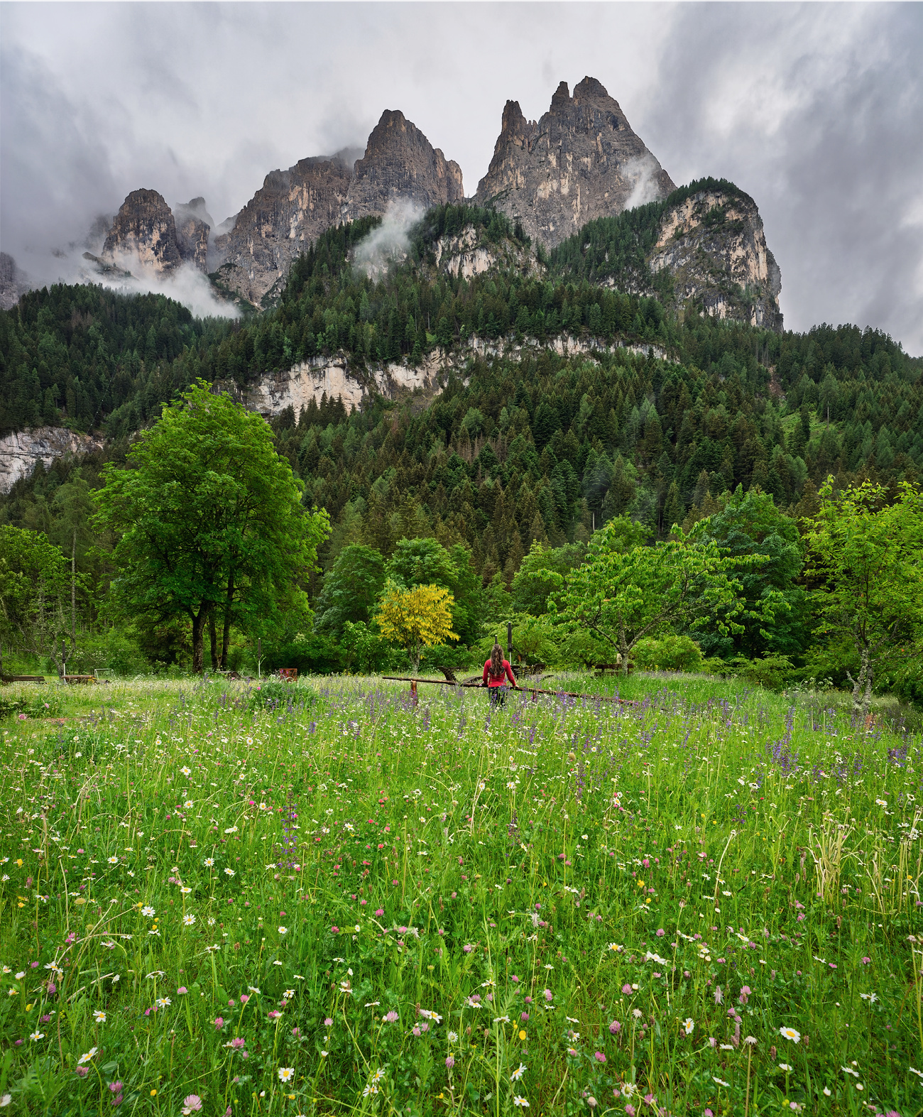 Discover Bad Ratzes: A Forested Escape Beneath South Tyrol's Most Legendary Peak 4 bad ratzes schlern meadow kate