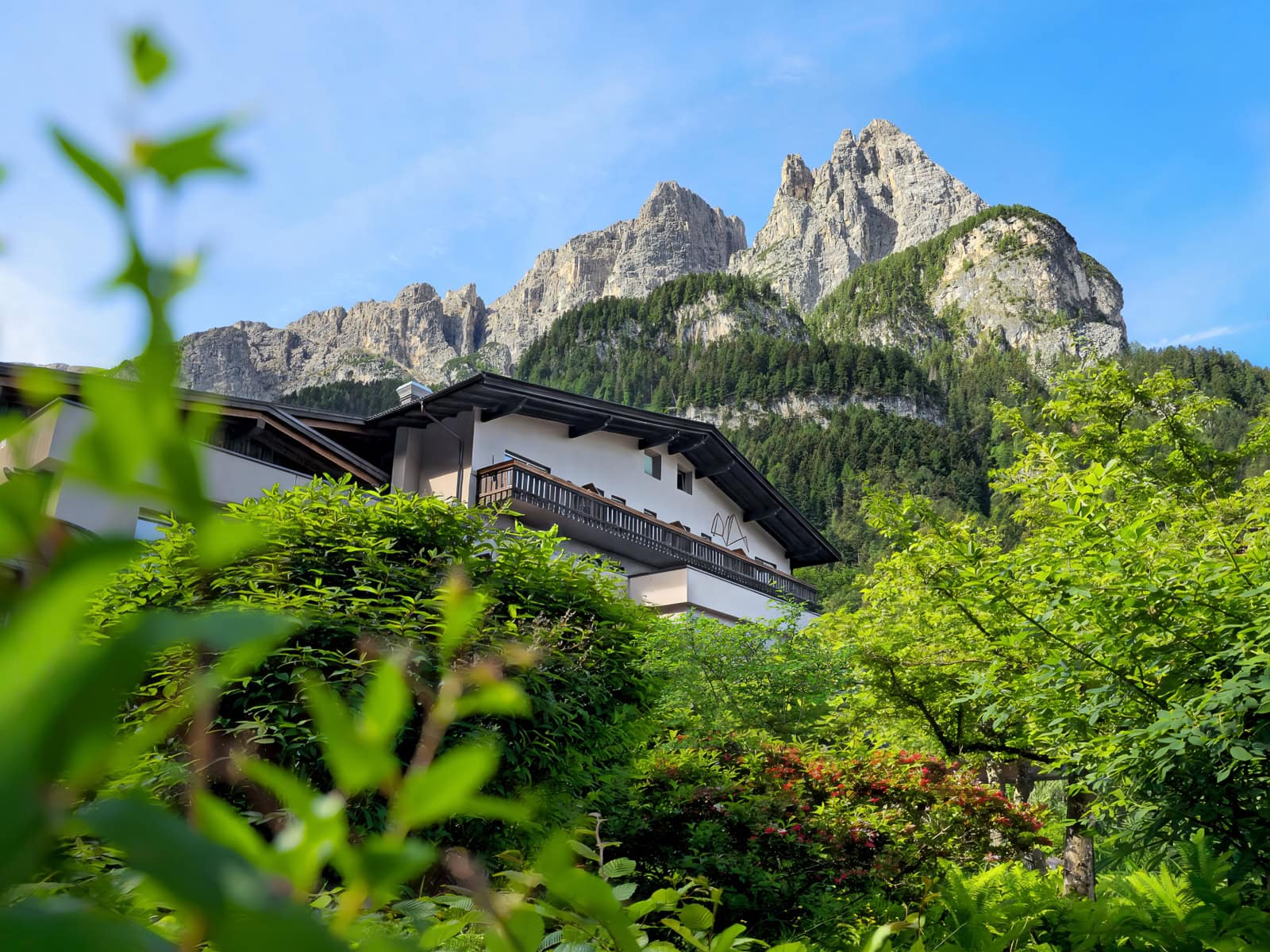 Discover Bad Ratzes: A Forested Escape Beneath South Tyrol's Most Legendary Peak 2 bad ratzes south tyrol alto adige