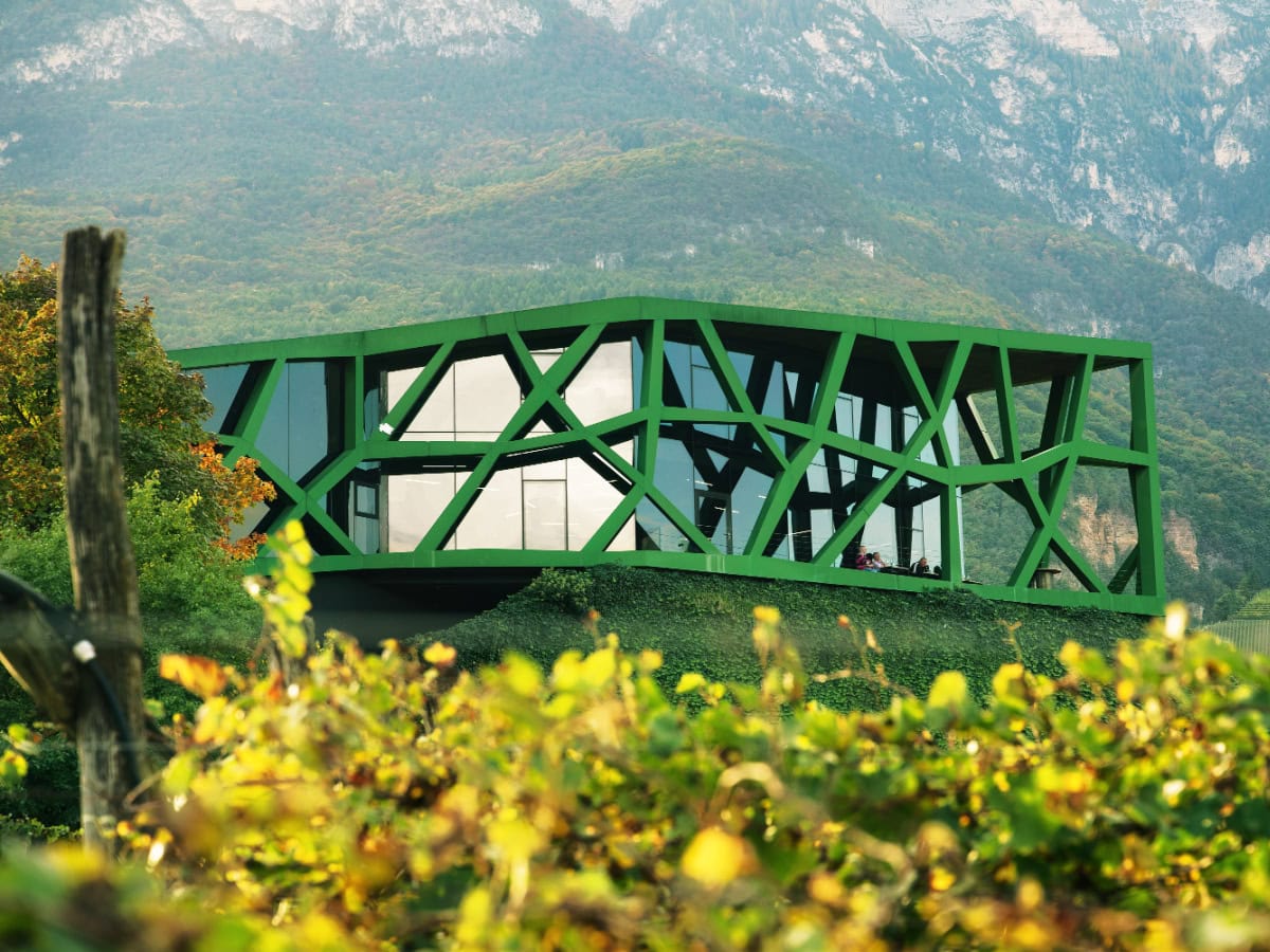 cantina tramin south tryol wine road