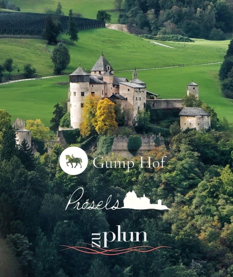 Experience South Tyrol's Ancient Culinary Culture 3 castle winery tour south tyrol