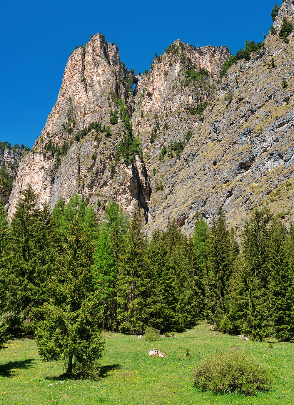ciastel de stevia vallunga
