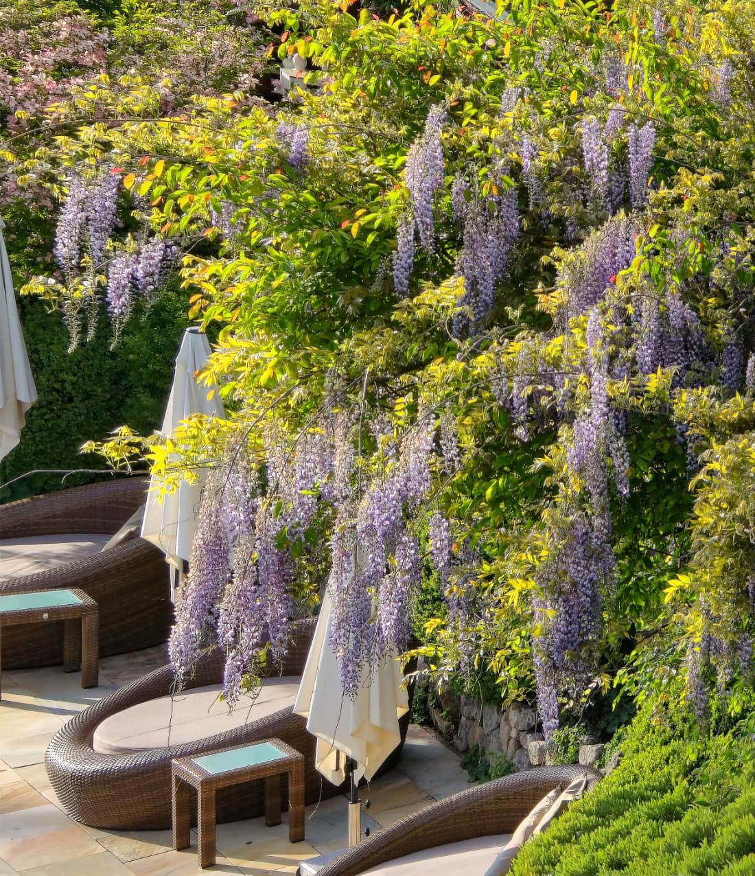 der boglerhof family spa