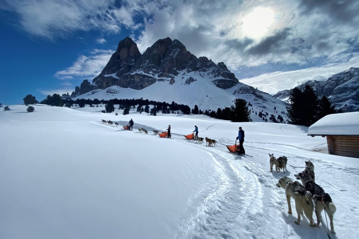 Dogsledding in the Dolomites on a cold winter day. 