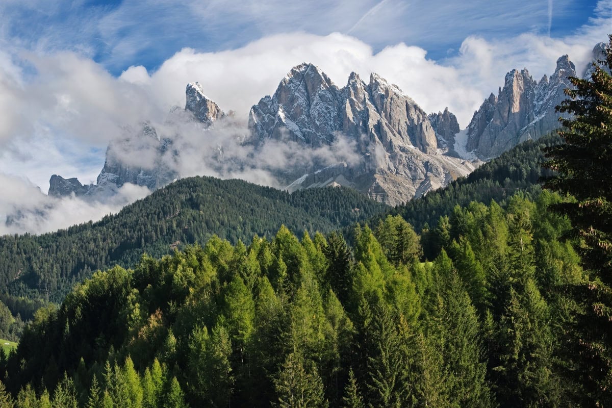 dolomites forests sudtirol