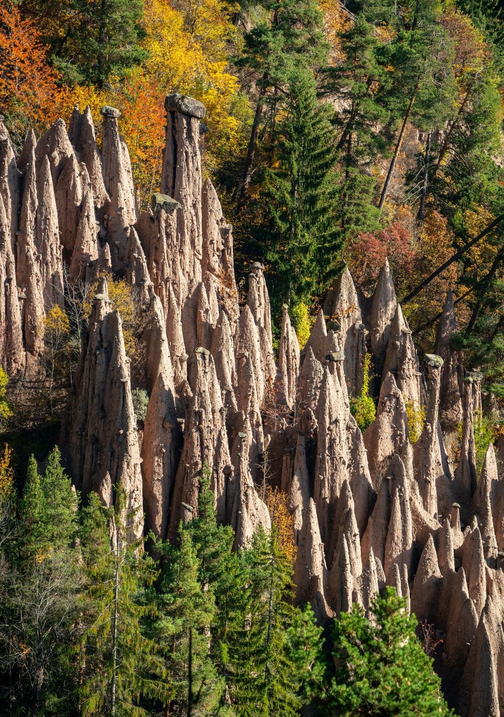Earth Pyramids of Renon: How to Visit South Tyrol's Strangest Natural Wonder 2 Close-up of the Earth Pyramids of Renon at Lengmoos, with large boulders balanced atop narrow clay columns