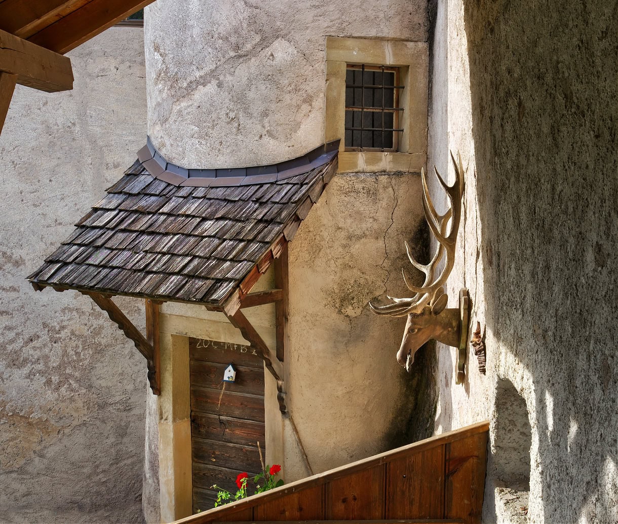 edelansitz zimmerlehen stag mount