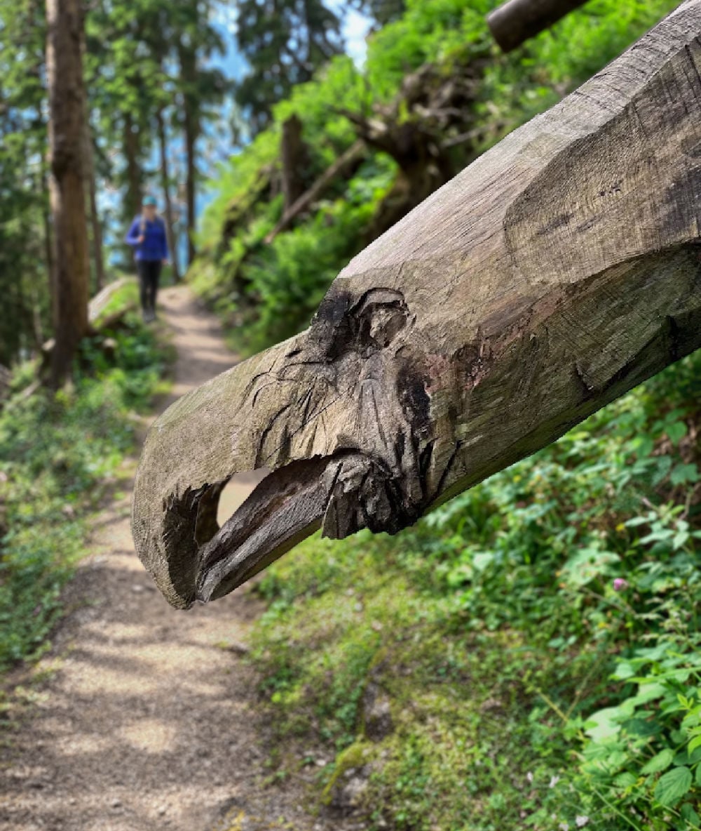 Hike the Geologensteig: 240 Million Years of Fire, Sea & Stone in the Dolomites 23 geologensteig trail dolomites woodcarving
