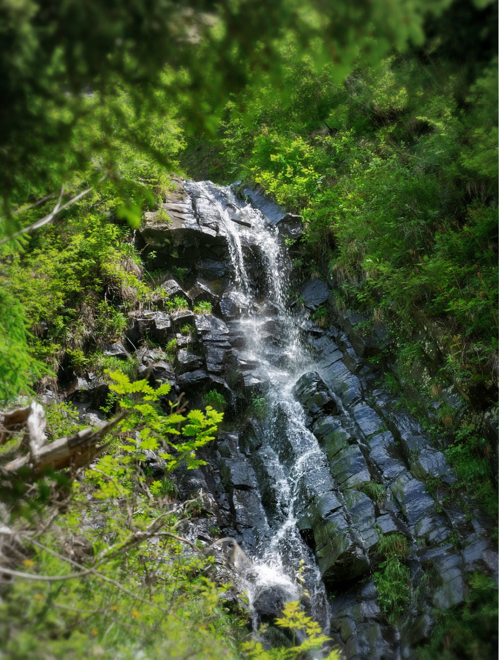Hike the Geologensteig: 240 Million Years of Fire, Sea & Stone in the Dolomites 18 geologist trail dolomites cliff waterfall