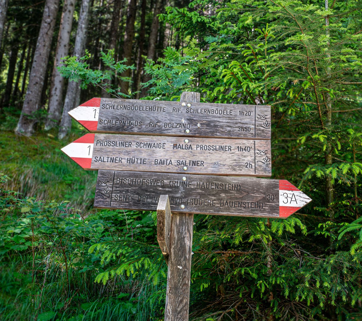 Hike the Geologensteig: 240 Million Years of Fire, Sea & Stone in the Dolomites 8 geologist trail sign dolomites