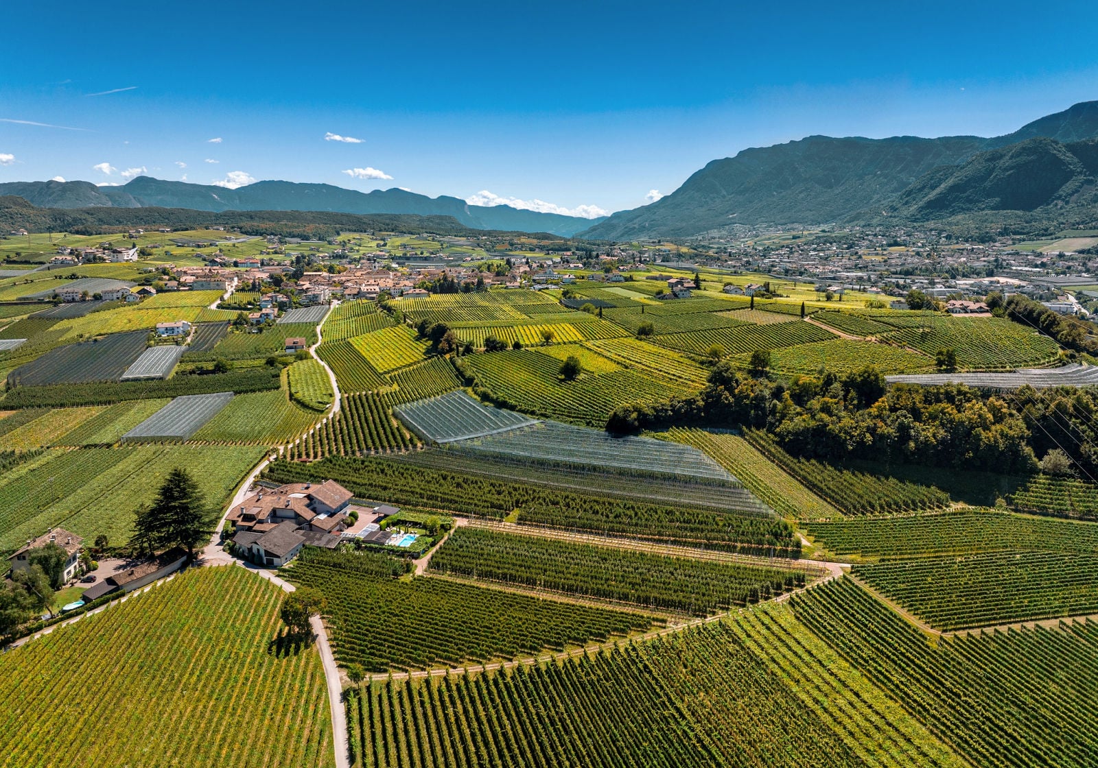 From Vine to Village: Raise a Glass at South Tyrol's Last Load of Grapes Festival 2 The village of Girlan surrounded by vineyards in autumn.