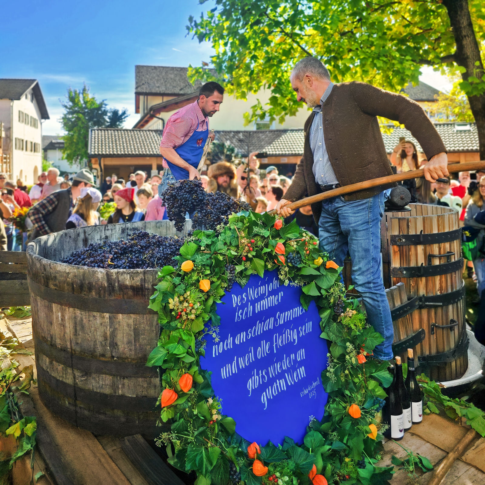 From Vine to Village: Raise a Glass at South Tyrol's Last Load of Grapes Festival 8 Wine growers shovel grapes into the press at the Last Load of Grapes Festival in Girlan, South Tyrol.