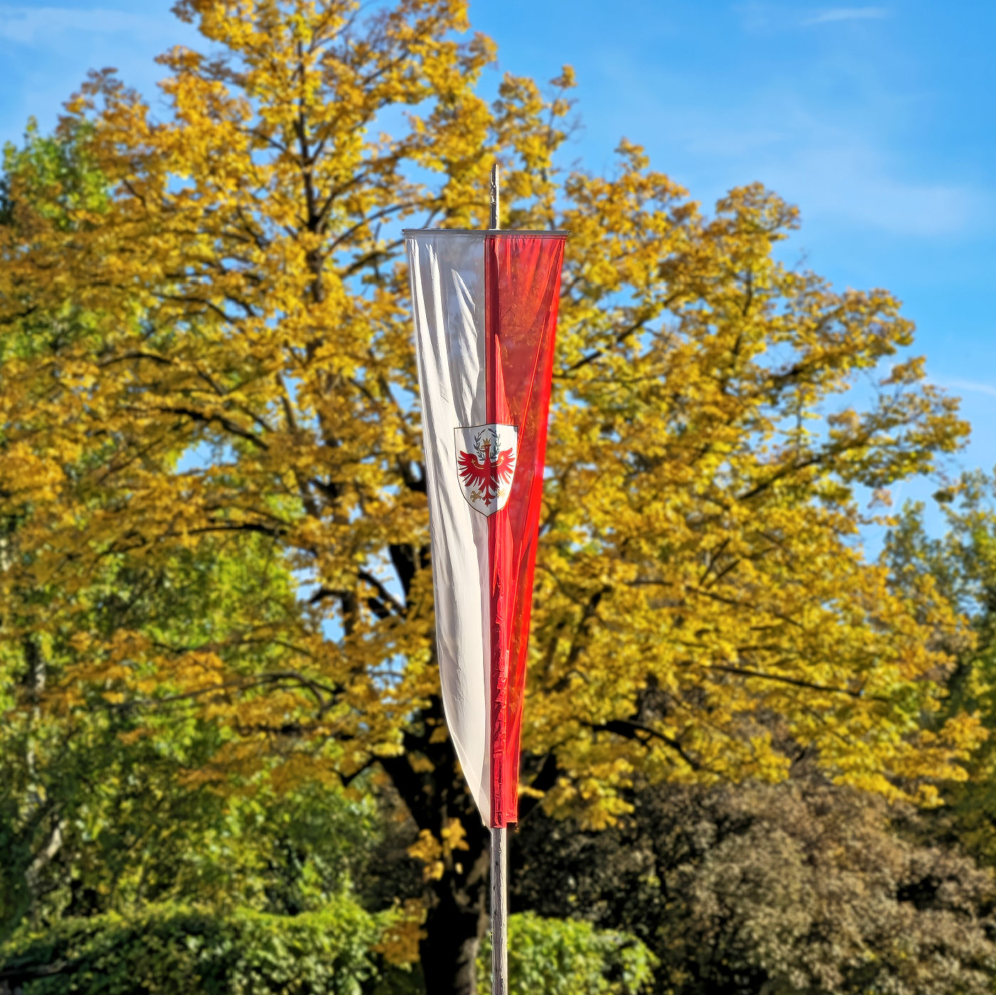 From Vine to Village: Raise a Glass at South Tyrol's Last Load of Grapes Festival 15 girlan sudtirol flag