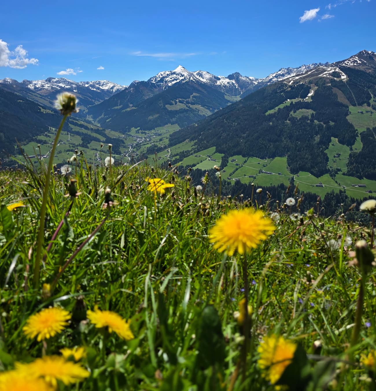 groser galtenberg alpbach