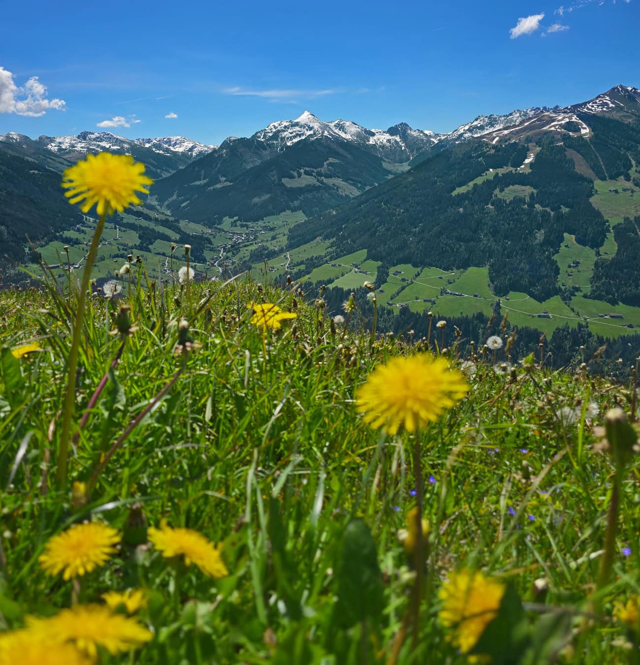 Discover Der Böglerhof: Five Centuries of Charm in Austria's Most Beautiful Village 38 groser galtenberg alpbachtal