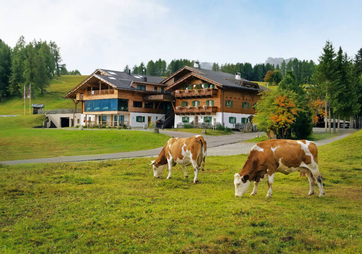 hotlel ritsch seiser alm alpe di siusi