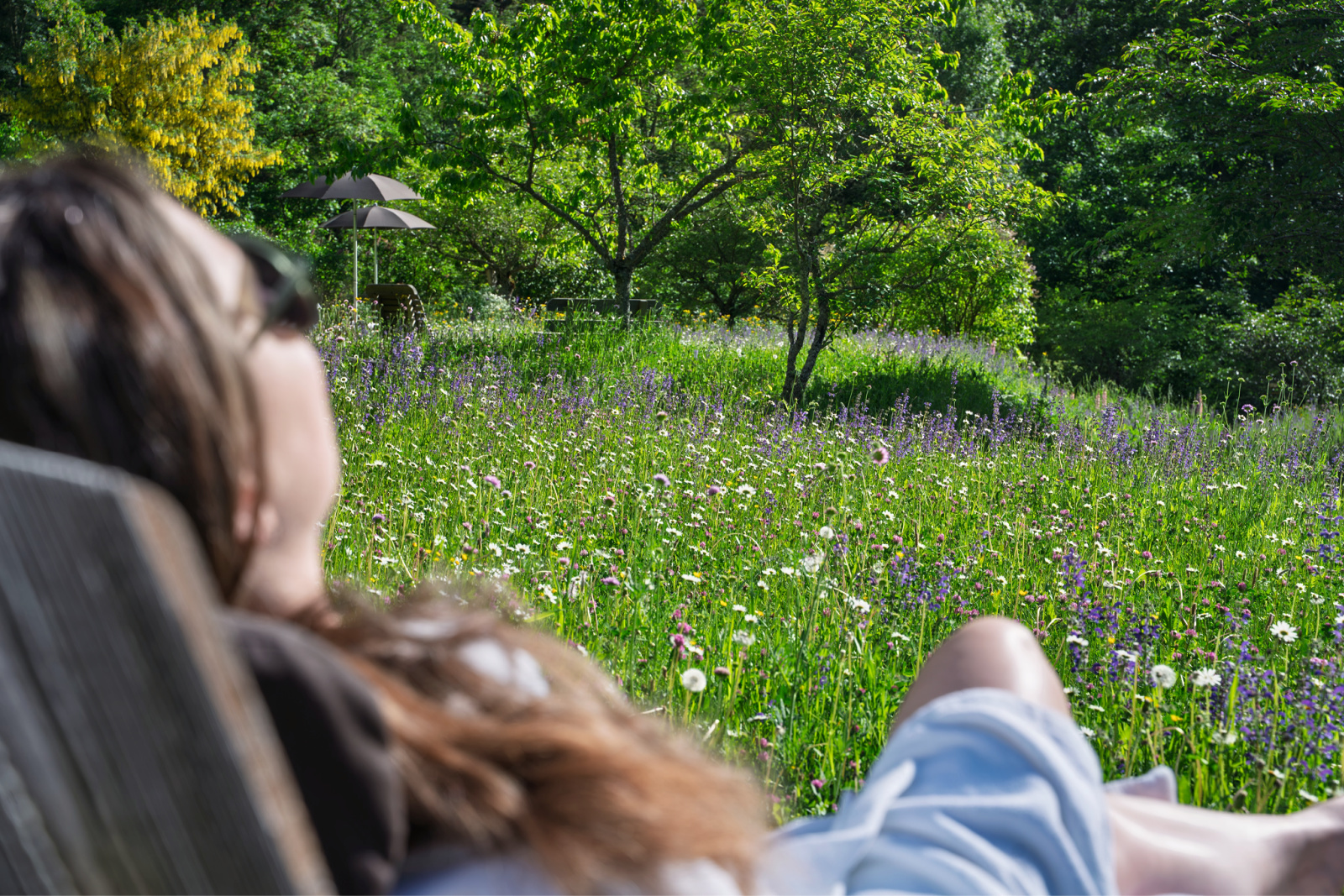 Discover Bad Ratzes: A Forested Escape Beneath South Tyrol's Most Legendary Peak 18 kate bad ratzes meadow