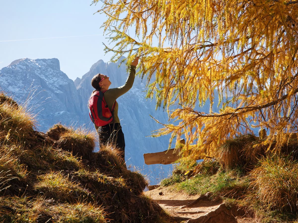 kate hiking autumn south tyrol