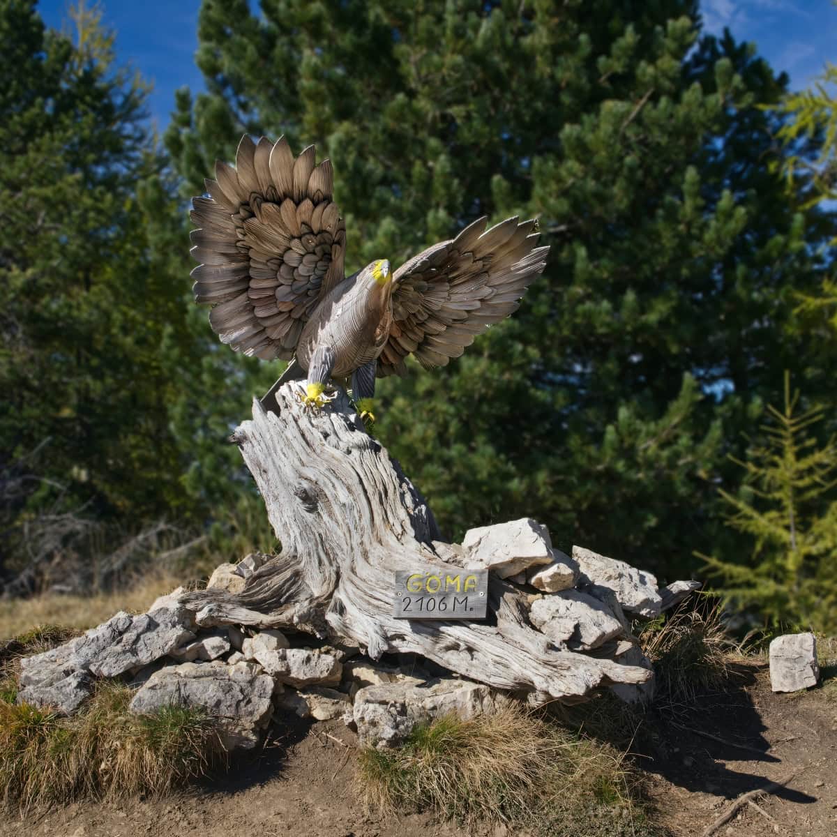 peitlerkofel sass de putia wood carved eagle