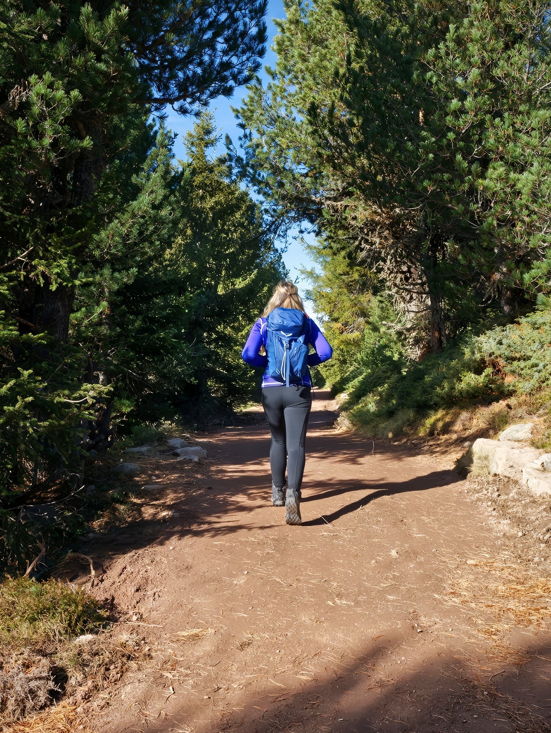 rescies hike first segment