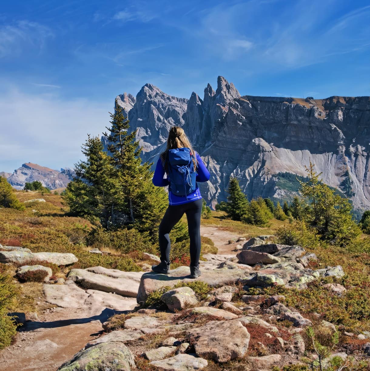 resciesa alp seceda kate