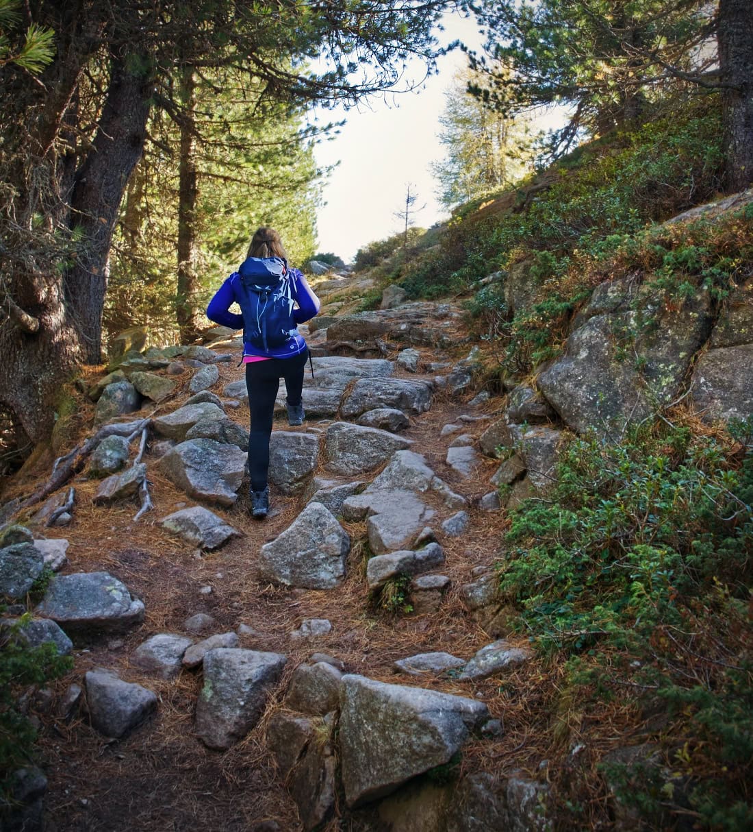 resciesa forest trail