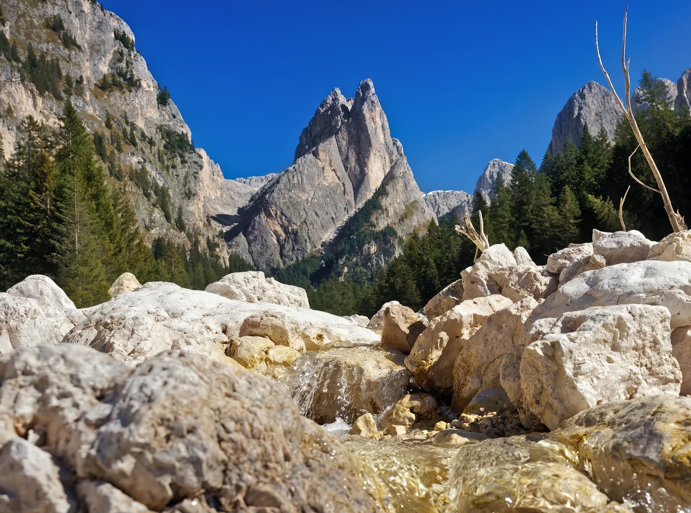 rosengarten dolomites tschamin valley