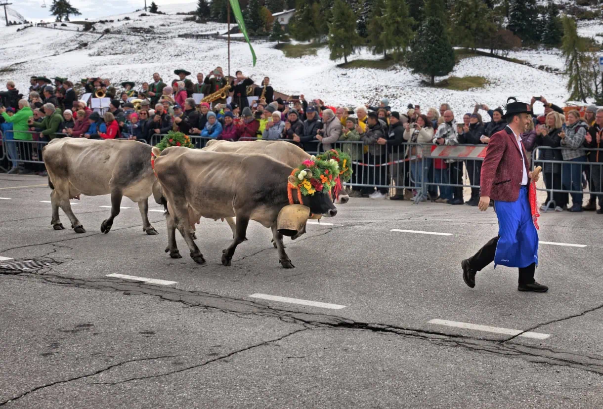 seiser alm almabtrieb parade