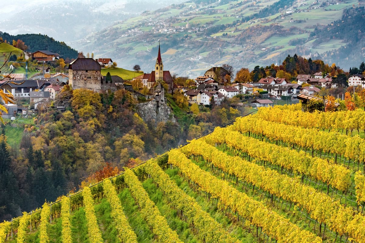 south tryol village vineyard