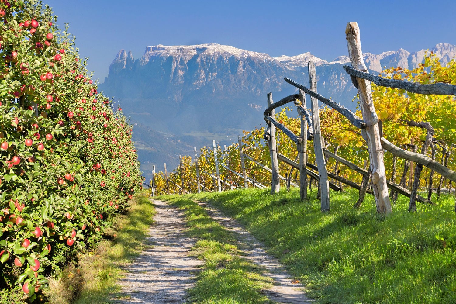 tour south tyrolean wine road