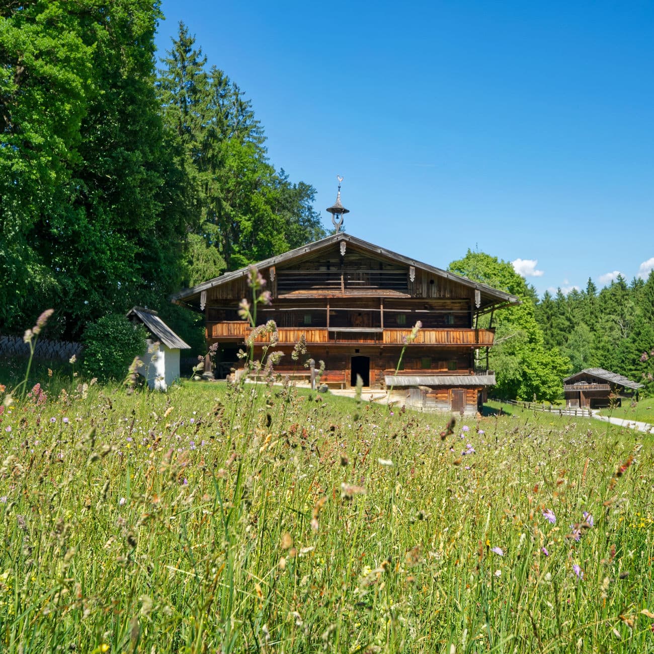tyrolean farmhouse museum house meadow