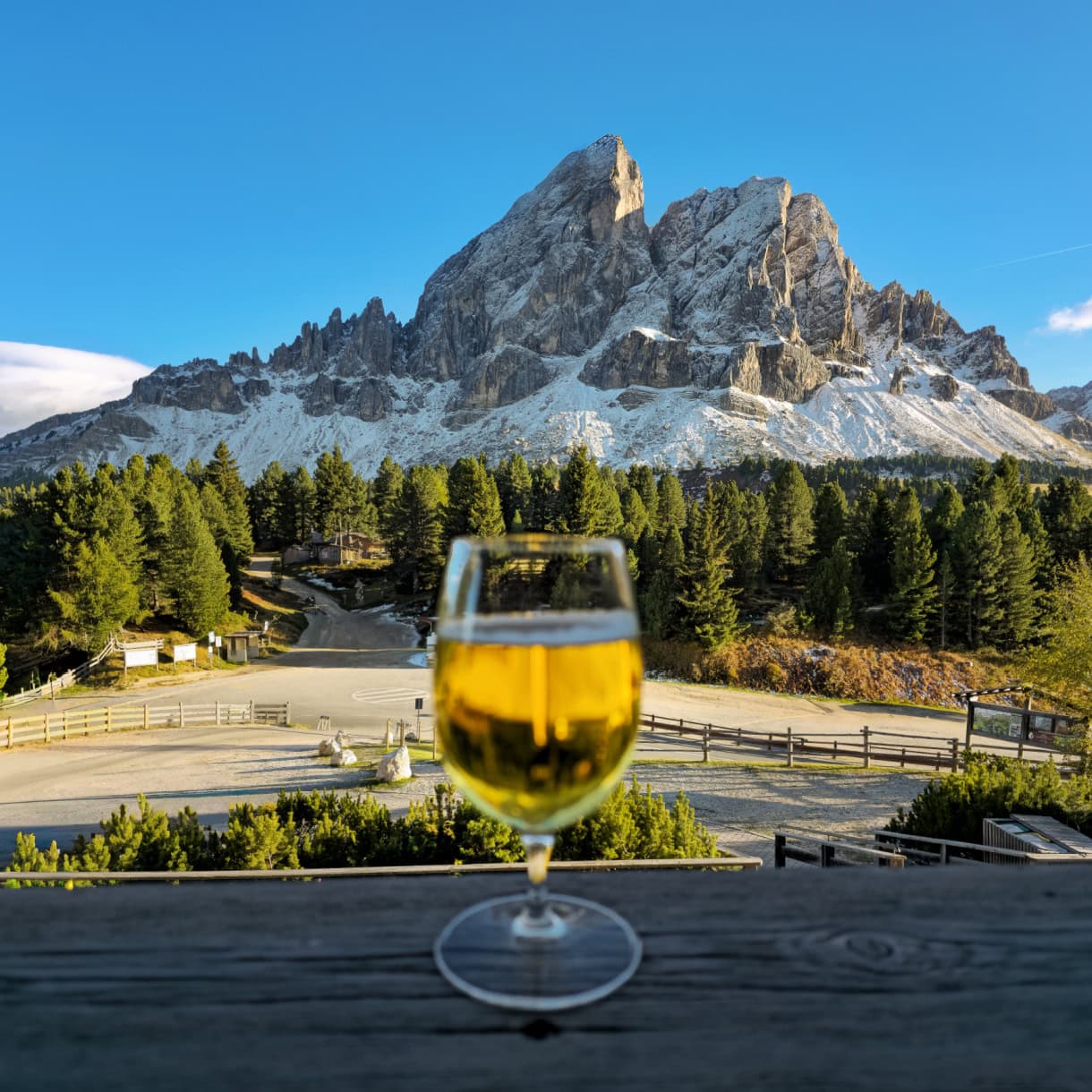 utia de borz balcony