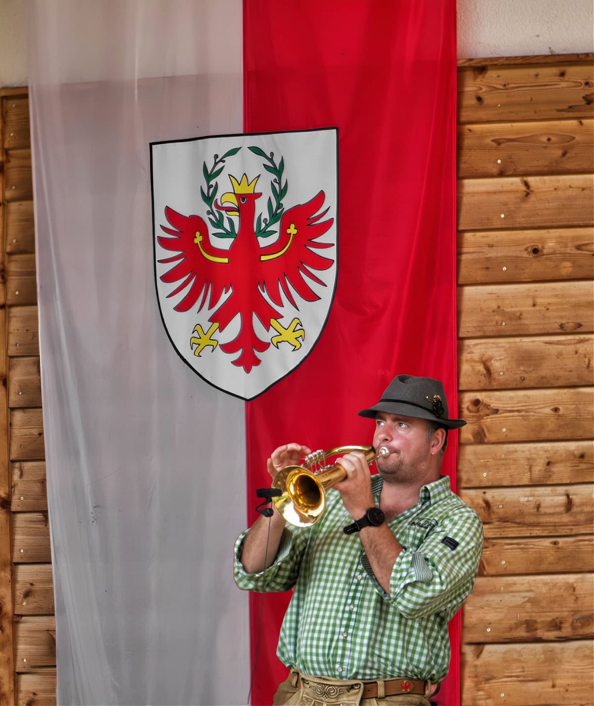 vols am schlern almabtrieb musician