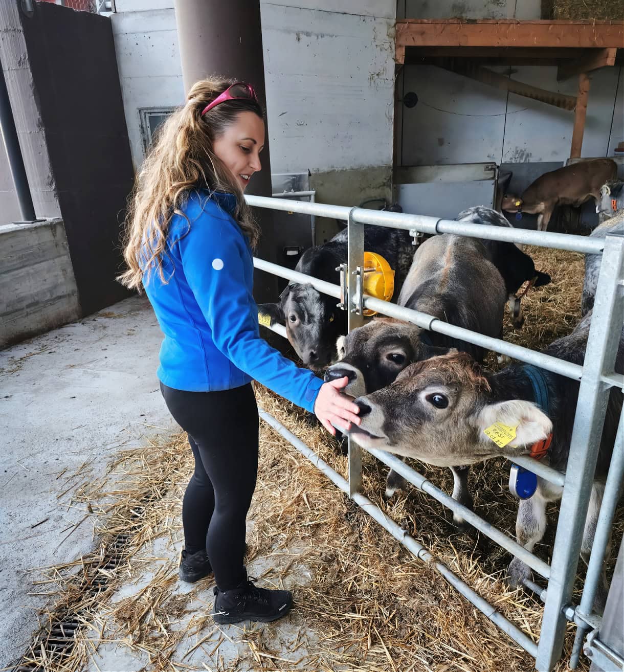 zimmerlehen farm stable